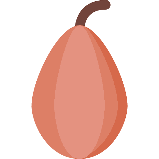 Cocoa food and restaurant healthy food cocoa icon Cocoa food and restaurant healthy food cocoa icon