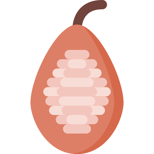 Cocoa nature healthy food food and restaurant icon Cocoa nature healthy food food and restaurant icon