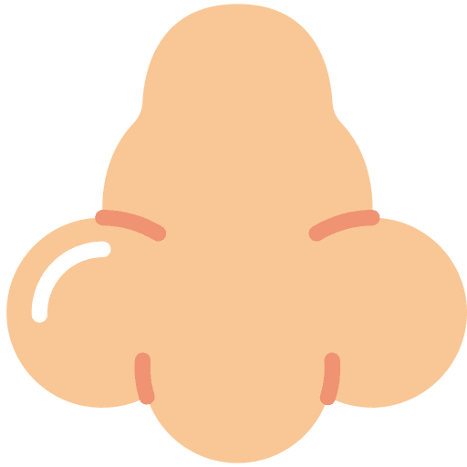Nose enlarge face big icon Nose enlarge face big icon