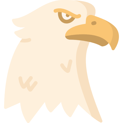 Eagle bird beak animals icon