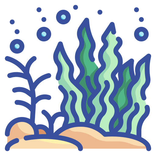 Seaweed algae seaweed plant icon