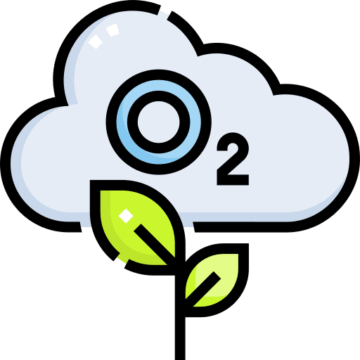 Oxygen cloud sprout plant icon