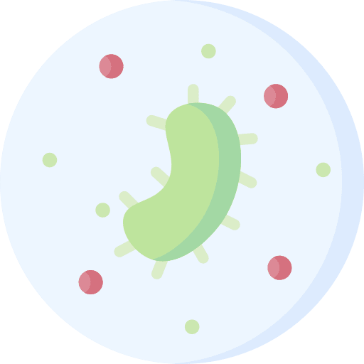 Bacteria coronavirus petri dish virus icon Bacteria coronavirus petri dish virus icon