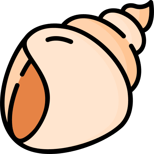 Conch aquarium sea snail conch shell icon