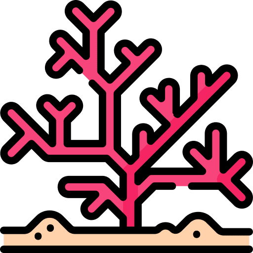 Coral aquarium coral marine icon Coral aquarium coral marine icon