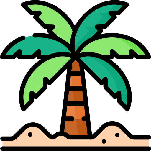 Palm tree palm tree beach tree icon