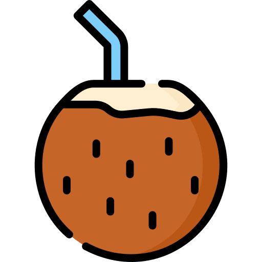 Coconut drink tropical holidays summertime icon Coconut drink tropical holidays summertime icon
