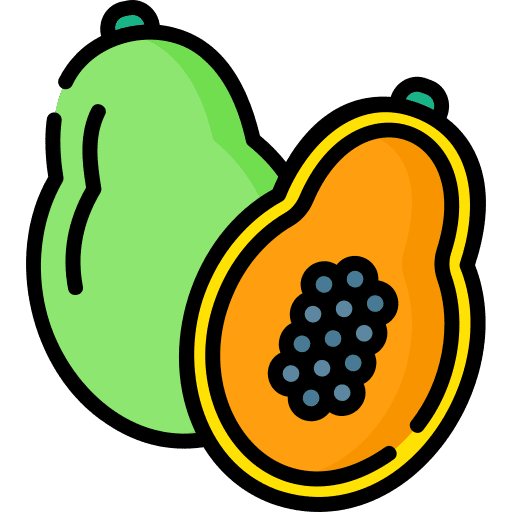 Papaya organic fruit vegan icon Papaya organic fruit vegan icon