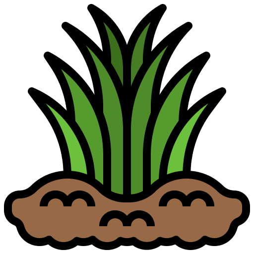 Grass plant nature botany icon