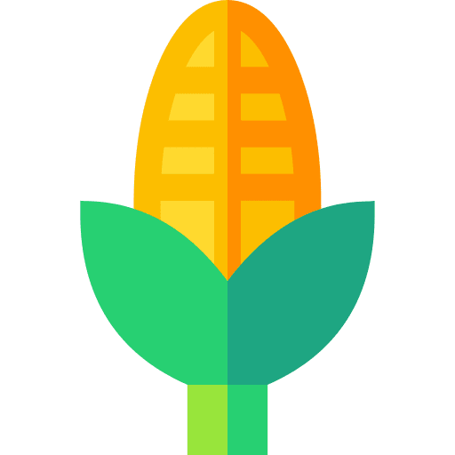 Corn restaurant kitchen cooker icon