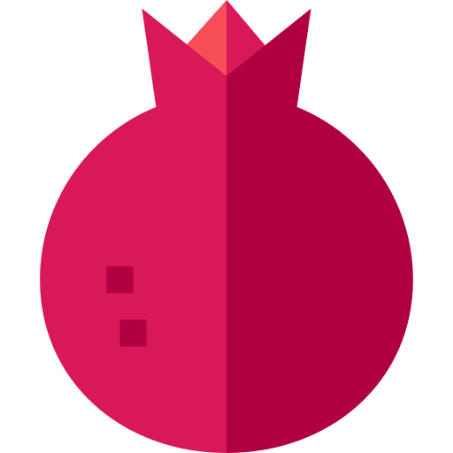 Pomegranate food vegan juicy icon