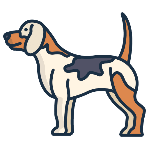 Beagle pet breed mammal icon