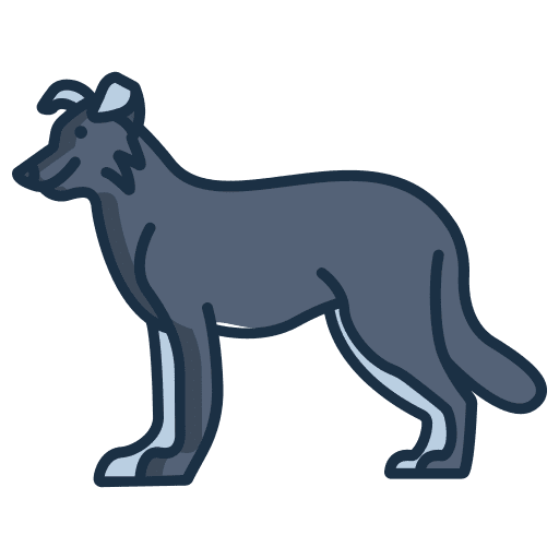 Border collie dog border collie animals icon