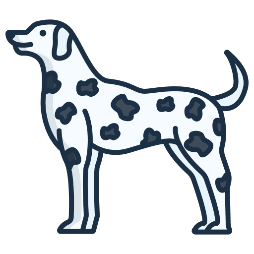 Dalmation pet breed mammal icon