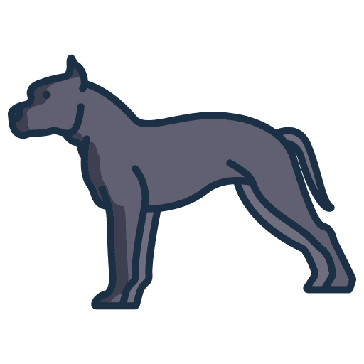 American staffordshire terrier dog zoology mammal icon American staffordshire terrier dog zoology mammal icon