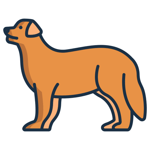 Bernese mountain zoology dog bernese mountain icon Bernese mountain zoology dog bernese mountain icon