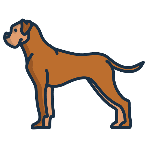 Boxer boxer animals pet icon