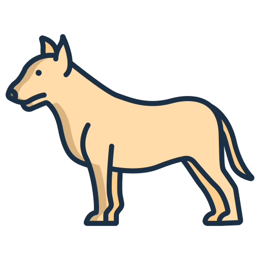 Bull terrier zoology dog pet icon