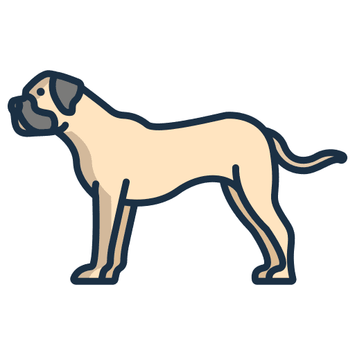 Bullmastiff zoology pet animals icon Bullmastiff zoology pet animals icon