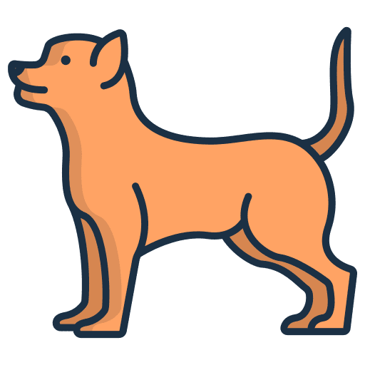 Chihuahua mammal pet zoology icon Chihuahua mammal pet zoology icon