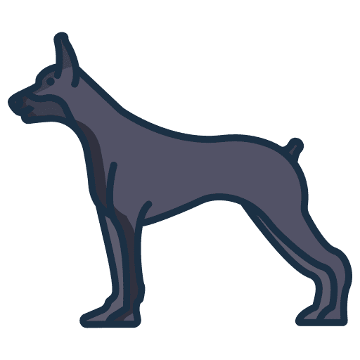 Doberman dog mammal zoology icon Doberman dog mammal zoology icon