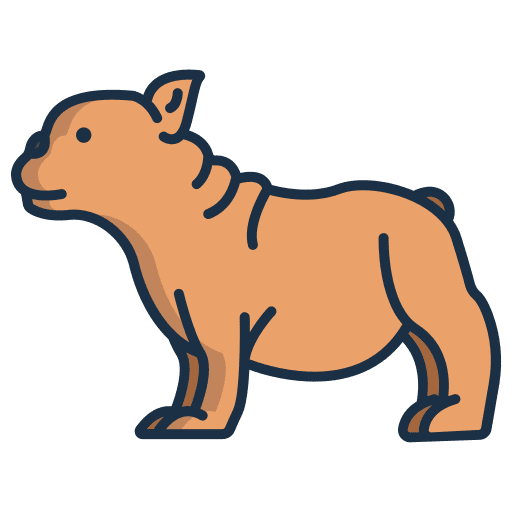 French bulldog french bulldog zoology pet icon French bulldog french bulldog zoology pet icon