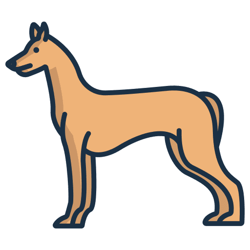 Pharaoh hound mammal pharaoh hound dog icon Pharaoh hound mammal pharaoh hound dog icon