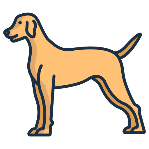 Pointer pet pointer mammal icon Pointer pet pointer mammal icon