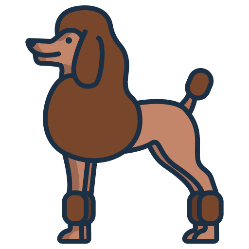 Poodle dog mammal pet icon Poodle dog mammal pet icon