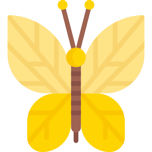 Butterfly animal kingdom fly butterfly icon