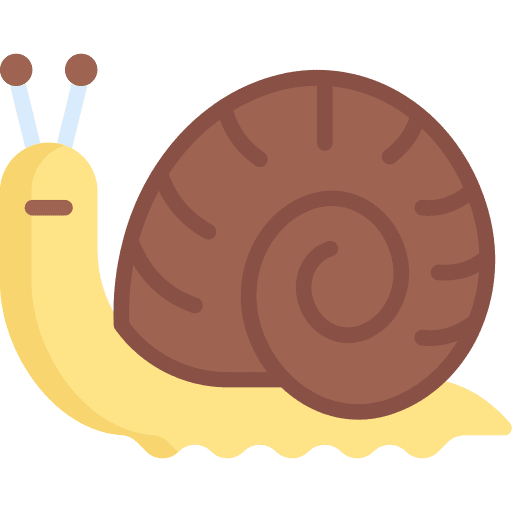 Snail shell snail animals icon