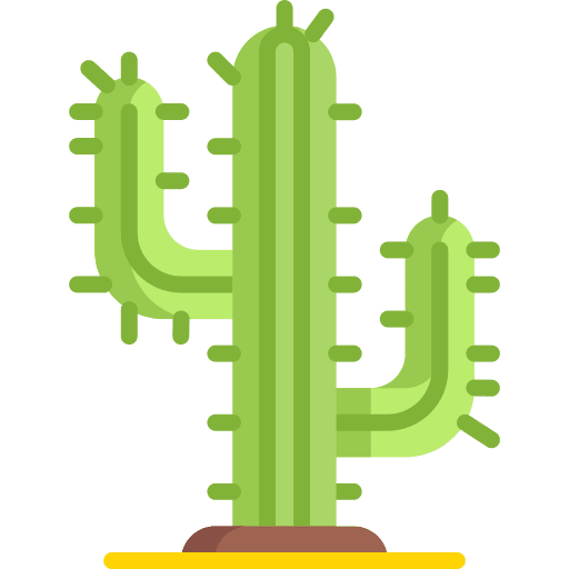 Cactus cactaceae tree nature icon