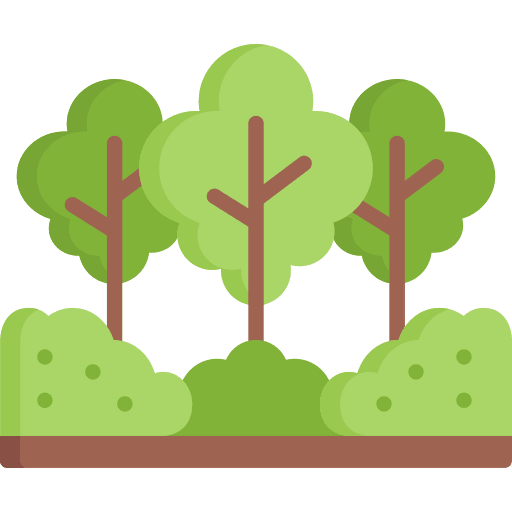 Forest scenery tree forest icon