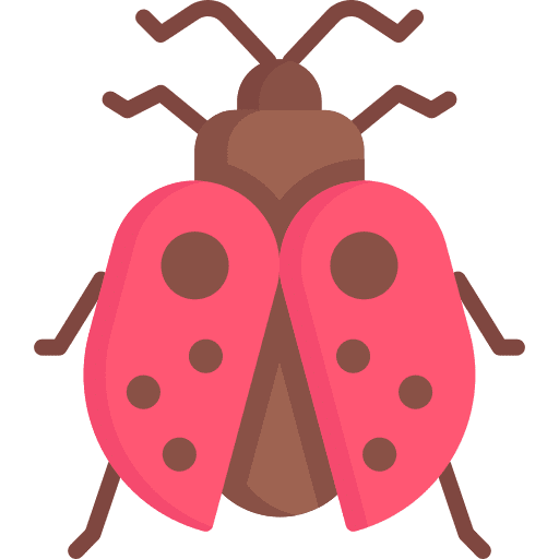 Ladybug wildlife bug zoology icon