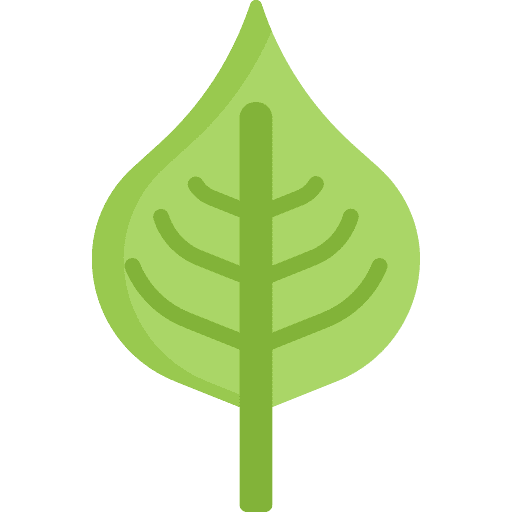 Leaf plant nature leaf icon
