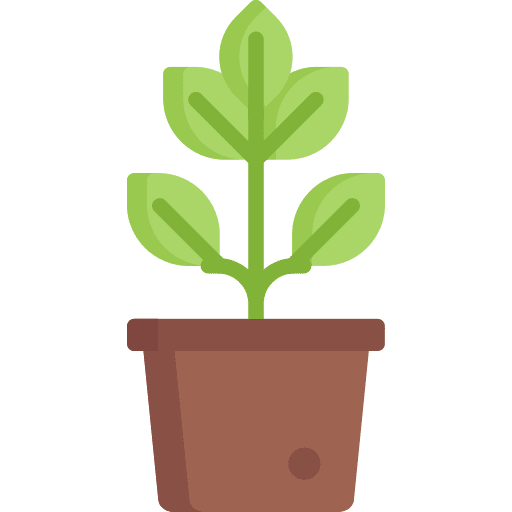 Plant nature decoration leaves icon