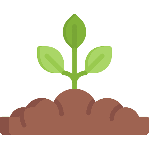 Sprout plant ground leaves icon
