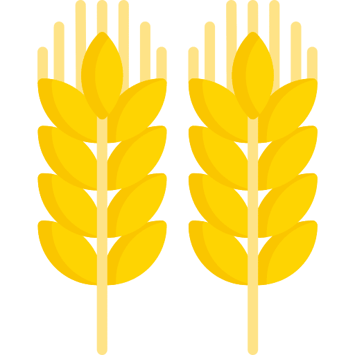 Wheat harvest nature grain icon