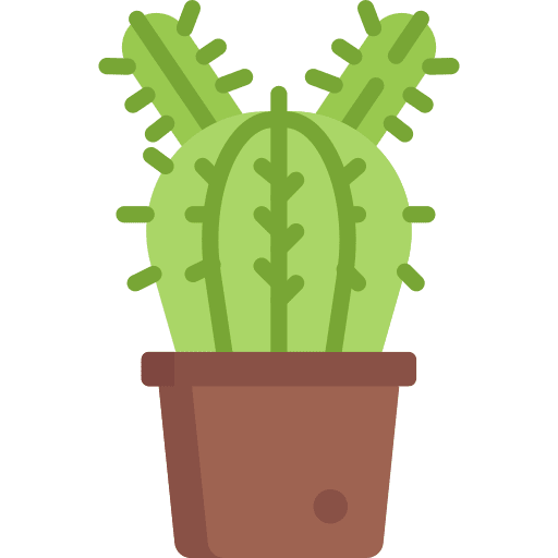 Cactus decoration garden pot icon