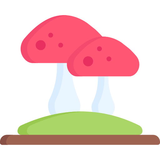 Mushroom healthy food nature mushroom icon
