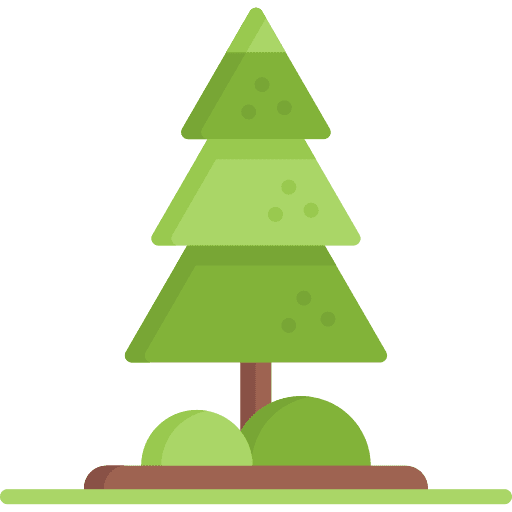Pine botanical pine garden icon