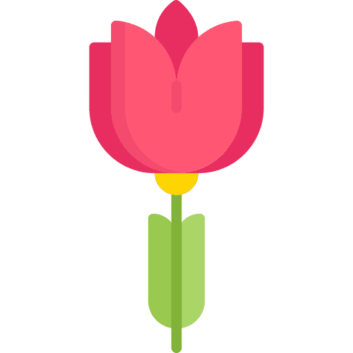 Tulip petals blossom tulip icon
