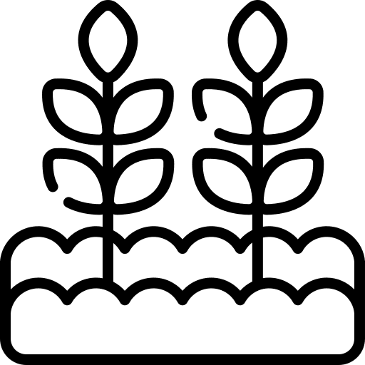 Wheat grain cereal branch icon