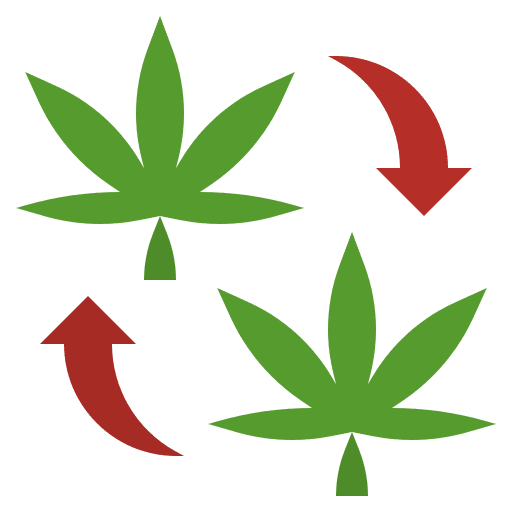 Cloning cannabis leaf drug icon
