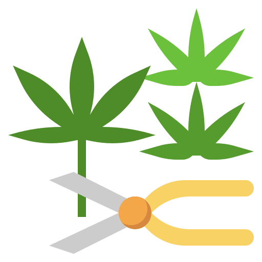 Harvest marijuana nature harvest icon Harvest marijuana nature harvest icon