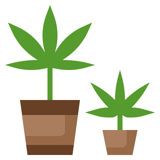 Hydroponic weed hydroponic marijuana icon Hydroponic weed hydroponic marijuana icon