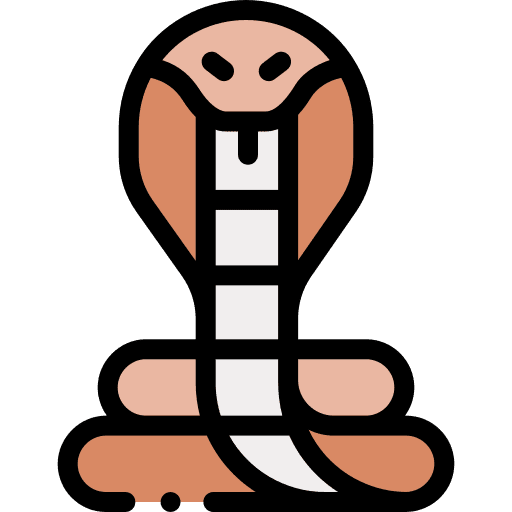 Cobra snake animal kingdom animals icon Cobra snake animal kingdom animals icon