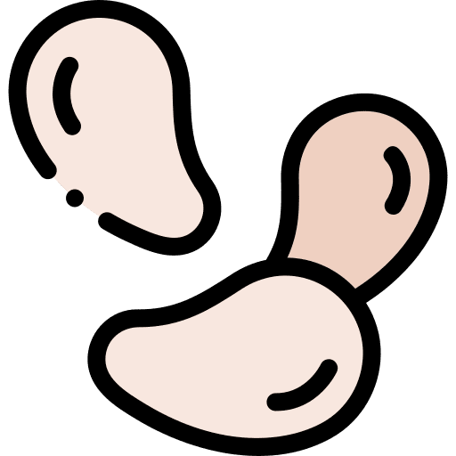 Cashew vegan healthy food cashew icon Cashew vegan healthy food cashew icon