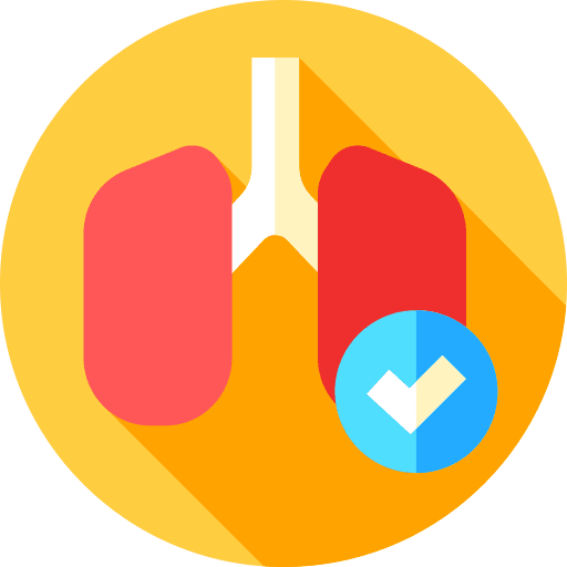 Lungs healthcare lungs medical icon