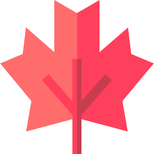 Maple leaf autumn nature maple leaf icon